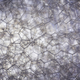 Illustration for article titled Super close up images of common objects are beautifully alien